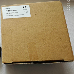 Epson S30670 Printhead $1520-1620